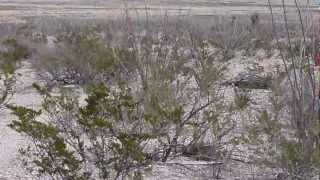 preview picture of video 'Chihuahuan Desert Bike Fest'