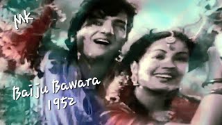 Jhoole Mein Pawan Ke Aai Bahar Lyrics - Baiju Bawra