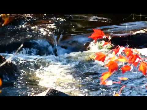 Fascinating Waterfalls of the World in 4K HDR - Natural Relaxation Video - Episode 1