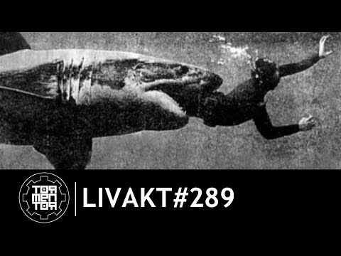 LIVAKT#289