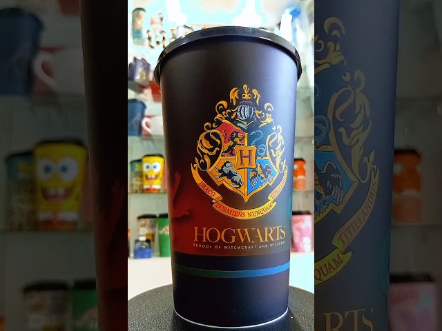 Vídeo relacionado con ABYSTYLE Set de 2 Vasos Harry Potter Modelo Gryffindor & Slytherin