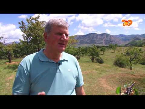 Ne Shtepine Tone, 17 Qershor 2016, Pjesa 2 - Top Channel Albania - Entertainment Show