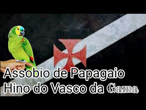 Assobio para Papagaios e Calopsita  - Hino do Vasco Gama (HD 720p )