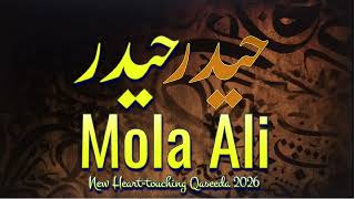 Download lagu Haider Haider Mola Haider || New Qaseeda 2026 mp3