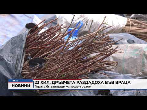 23 хил. дръвчета раздадоха във Враца: Гората.бг завърши успешен сезон