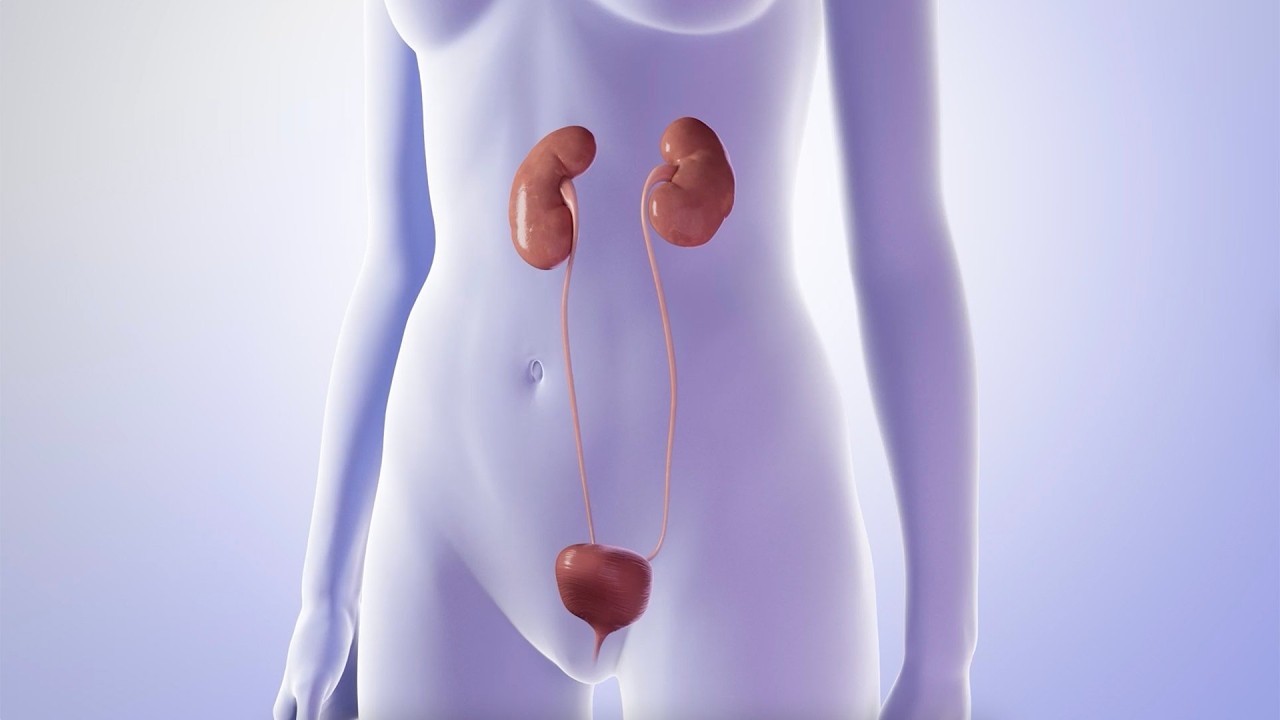 How to Prevent a Urinary Tract Infection (UTI)