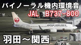 [バイノーラル機内環境音]JL229便　羽田空港～関西空港　B737-800