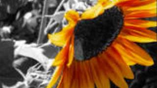 Something New by The Airborne Toxic Event!