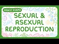 GCSE Biology Sexual Asexual Reproduction Gametes 2026 27 Exams