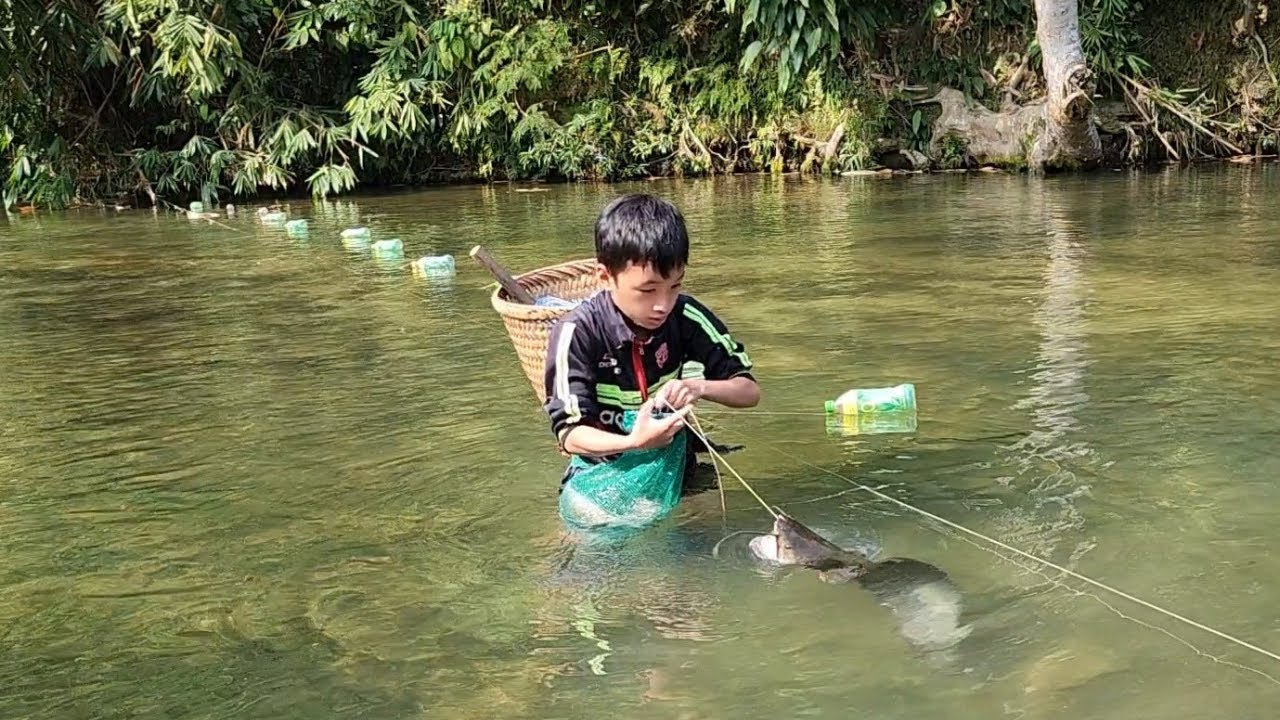 Setting a trap for stream fishing, the orphan boy khai caught a giant catfish