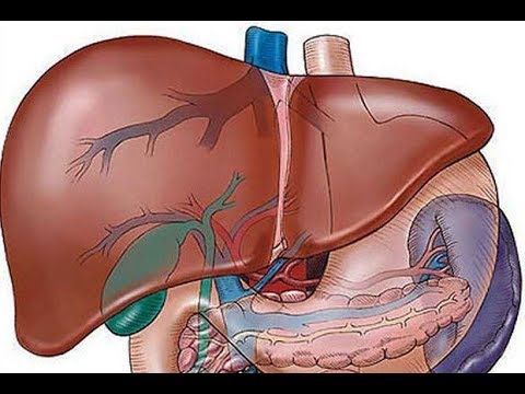 Emberi paraziták elleni gyógyszerek - Hogy a bélférgek - Milyen paraziták elleni gyógyszerek