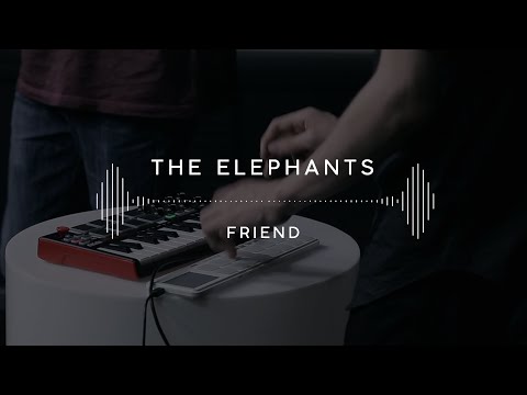The Elephants — Friend (Stage 13)