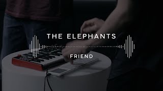 The Elephants — Friend (Stage 13)