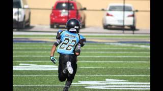 Gainesville Panthers vs Clay Bears 8U Cahmpionship