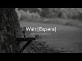 Alexi Murdoch · "Wait" ["Espera"] (Subtitulada)