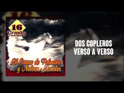 Dos Copleros Verso A Verso - El Carrao De Palmarito | Cover Audio | Música Llanera