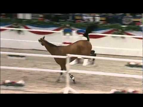 Cascadello - Casall x Clearway x I Love You SF