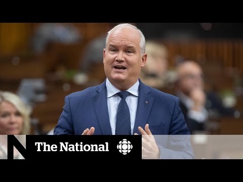 New Conservative motion to look at federal government’s COVID-19 response