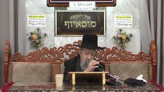 הרב בן ציון מוצפי • קריאת התורה | מוסאיוף | (בית הכנסת מוסאיוף - ערוץ חדש) - התמונה מוצגת ישירות מתוך אתר האינטרנט יוטיוב. זכויות היוצרים בתמונה שייכות ליוצרה. קישור קרדיט למקור התוכן נמצא בתוך דף הסרטון