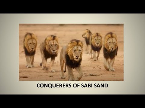 THE EPIC SAGA OF THE MAPOGO |  Full Documentary