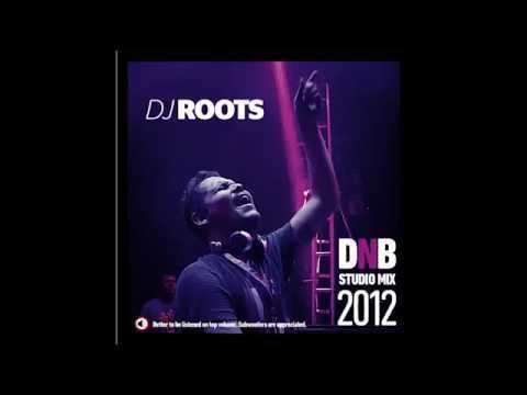 DJ Roots Drum and Bass Studio Mix 2012 (megamix)