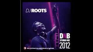 DJ Roots Drum and Bass Studio Mix 2012 (megamix)