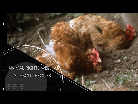 , title : 'ARチャンネル2020年３月ウエビナ― ALL ABOUT BROILER'