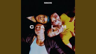 Lirik Lagu Thin White Lies - 5SOS: Killing Me Slow with the Words You Wrote, the Heart You Broke