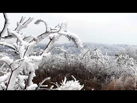 02-12-2021 Winslow, AR Rime Ice in the Ozark Mountains