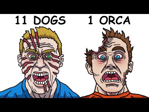 The Worst Zoo Deaths Ever