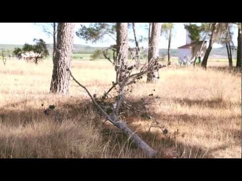 Modelo de Respuesta Polar - "El Imposible"