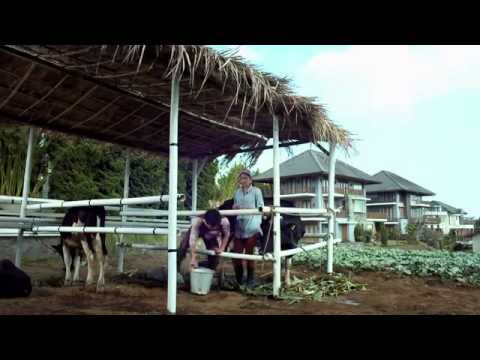 Ftv Falling in Love Mikha tambayong Full Movie HD