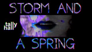 Cover art for Storm and a Spring