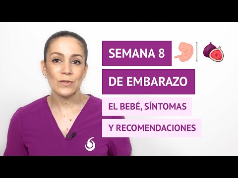 Semana 8 de embarazo: desarrollo del bebé y cambios en la madre
