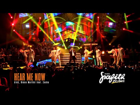 Grafith 29 Anos - Hear Me Now (Alok, Bruno Martini feat. Zeeba)
