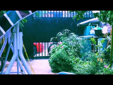 Goro Dragoni - Sol y Lluvia (con Otis Redding)(Prod. maxrxgh)