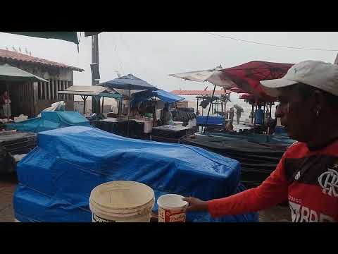 Oi, siga o nosso canal e compartilhe, Raposa MA Feira da Raposa 