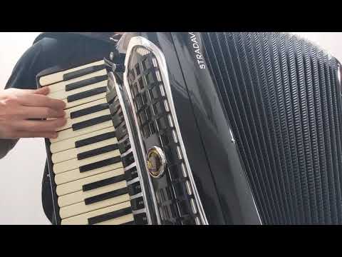 O Alto da Compadecida #Shorts #altodacompadecida #oaltodacompadecida #acordeon #sanfona