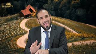 תוכיח שיש בורא לעולם?! | פרשת מטות - מסעי | הרב דוד פריוף (הרב דוד פריוף) - התמונה מוצגת ישירות מתוך אתר האינטרנט יוטיוב. זכויות היוצרים בתמונה שייכות ליוצרה. קישור קרדיט למקור התוכן נמצא בתוך דף הסרטון