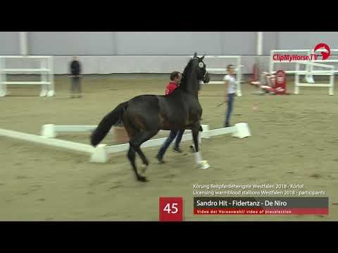 45 Hengst v. Sandro Hit - Fidertanz - De Niro