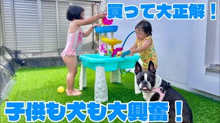 【夏の神アイテム】犬も子どもも楽しめるウォーターテーブルが最高すぎた!