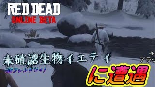 【RDO】超フレンドリィなUMA発見#95【RED DEAD REDEMPTION 2】