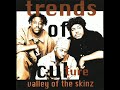 Trendz Of Culture Valley Of The Skinz 448 Hz