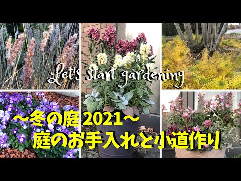 園芸 冬の農場の庭