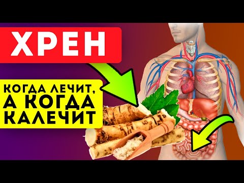 ЧТО ТВОРИТ ХРЕН! 99% людей не догадываются о его силе! Суставы, мужская сила, простуда и...