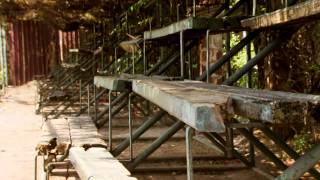 The.Chinese.Are.Coming.==.Africa.HD===中方在非洲 西方觀點==字幕==Subtitles