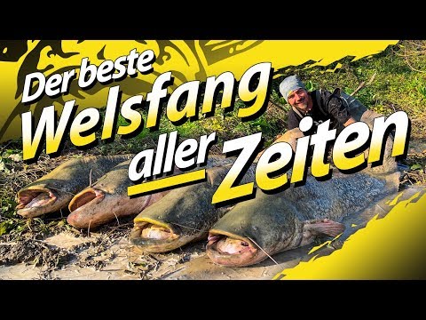 The best catfish catch ever | The catfish feed nonstop | Catfish fishing on the river