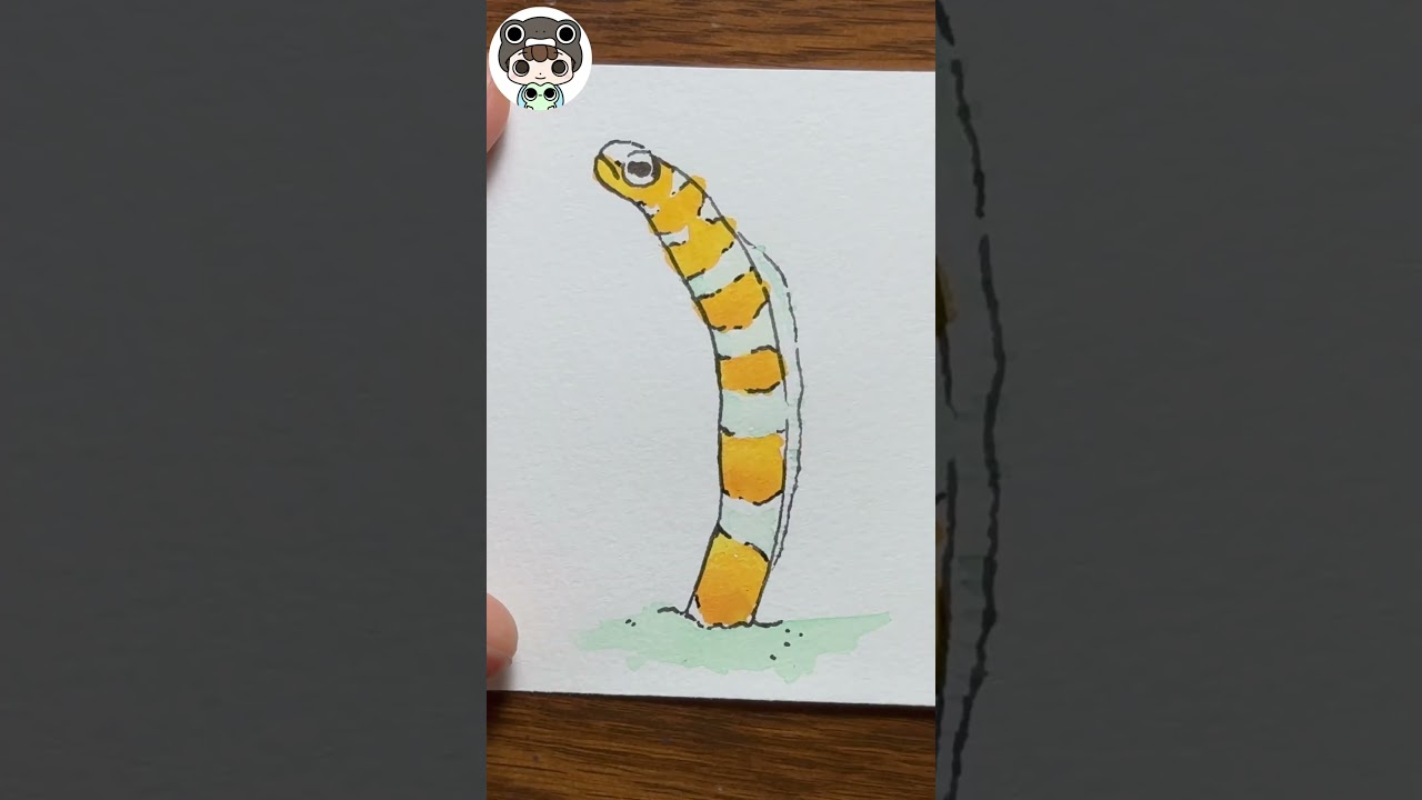 Easy! How to Draw  Splendid Garden Eel and a Spotted Garden Eel
