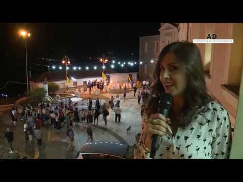 SPECIALE VINESTATE 2019