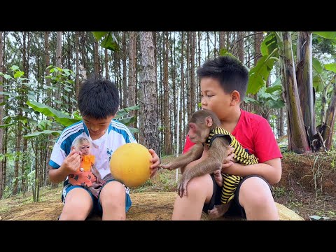 Best Football Match! Monkey Max Invite Two Brothers Join Best Funny Game!